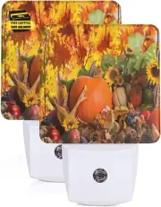 Night Light Plug in Set of 2 Leaves Thanksgiving Pumpkin LED Auto Motion Sensor