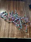 Outdoor Led Lights, 10 Bundles Of 50 Lights 12ft