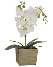 National Tree Company White Orchid Flower In Wood Box NoSize
