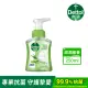 【Dettol 滴露】滋潤蘆薈泡沫潔手液洗手乳(250ml*12入/箱-箱購)