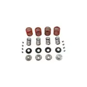 Valve Spring Kit for Harley Shovelhead 1980-1981 FL FX FLT