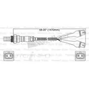 PAT Oxygen/Lambda Sensor Pre-Catalytic Converter/Manifold - EGO-255