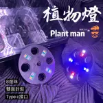 【植男之丘】LED育苗盒燈盤 加厚 透明蓋(育苗盤專用) /保溼箱/多肉植物/食蟲植物/花盆/育苗盆/鹿角蕨苗