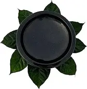 Pure Granite Stone Decorative Bowl|Traditional Urli Bowl for Home Decor- 7 Inch - 2.3 Kg