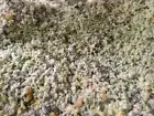 Crumbed Foam