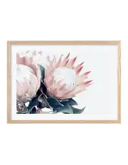 [Profile Australia] Australian Made Protea Flowers Art Print A1 Frame in Natural