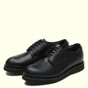 (ASK availability first) Danner D214370 POSTMAN WP new