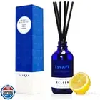 Xcleen Reed Diffusers Set, 3.7 Oz Scent Diffuser, 6 Reed Diffuser Sticks, Hom
