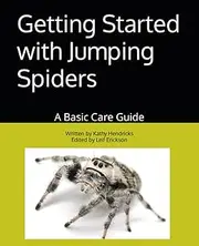 Getting Started with Jumping Spiders: A Basic Care Guide