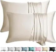 WLOSJ 100% Silk Pillow Cases 2 Pack Standard Size Mulberry Silk Pillowcase for Hair and Skin Set of 2 with Hidden Zipper, Beige