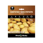 Bloomin' Bulbs Seed Potato Nicola -1kg