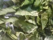 50 HOJAS DE LIMON AMARILLO ORGÁNICAS SECAS/50 ORGANIC DRY LEMON LEAVES