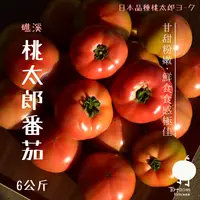 在飛比找台灣好農優惠-【踏踏青農場】桃太郎番茄-礁溪溫泉番茄(6kg/箱)