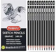 PANDAFLY Professional Drawing Sketching Pencil Set - 12 Pieces Graphite Pencils(14B - 2H), Ideal for Drawing Art, Sketching, Shading, Artist Pencils for Beginners & Pro Artists
