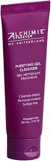 Purifying Gel Cleanser Travel Size