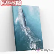 Paint By Numbers Kit Whale Ocean Animal Beginner Canvas Draw Adult Oil Kids Home