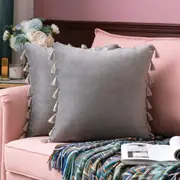 Pack of 2 Velvet Soft Solid Decorative Throw Pillows with Tassels Fringe Boho Accent Cushion for Couch Sofa Bed, Grey