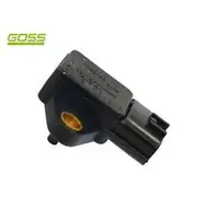 RAE MAP Sensor - MP169