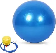 Exercise Ball, 65cm Stability Ball for Workout Fitness, Anti-Burst Yoga Balance Ball with Air Pump, Great for Pilates, Balance, Workout, Fitness, Therapy (Blue)