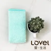 在飛比找博客來優惠-Lovel 3M頂極輕柔棉超細纖維抗菌方巾貝殼綠