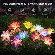 1 Pc 4 Head Outdoor Solar 7-Color Dimming Lily Ground Plug in Light Courtyard Garden Park Path Lawn Wedding Festival Party Memorial Decorative Light in front o