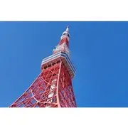 Save 50.00%! Tokyo Tower Tour Top Deck Views of Shinjuku and Mt. Fuji
