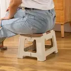 Stall Owner Stool Step Stool with Handle for Kids Bathroom Camping Stool