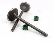 Motorcycle 2PC Intake and Exhaust Valves for CB125 CB 125S XL125 XL 125cc 4-Stroke Accessories