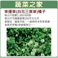 在飛比找蝦皮商城精選優惠-【蔬菜之家滿額免運】00M09.幸運草(白花三葉草)種子1公