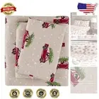 Luxury 4-Piece King Cotton Flannel Sheet Set - Lightweight with Fun Car Print