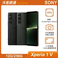 在飛比找洋蔥網通優惠-Sony Xperia 1 V (12G/256G)