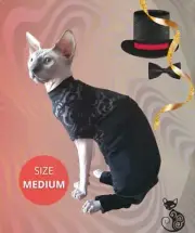 Elegant and Sophisticated Black Tuxedo with Belt - Cat Bodysuit - Size Medium