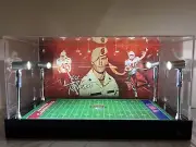 Pat Tillman Premium PSA BGS 2 Card display case w/ LED lights - Cardinals & USA