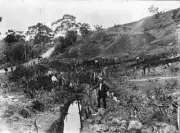 Creswick District Victoria 1873-1874 - Workmen excavating for a ra- Old Photo