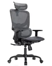 Ergonomic Mesh Office Chair, High Back Desk Chair with 5-Level Lumbar Support...