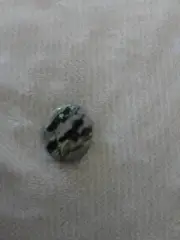 Zebra Worry Thumb Stone