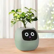 CHAOFLIGHT Smart Flowerpots AI Planter, 49 Expressions, 7 Sensors, APP Control Robot for Interactive Plant Care Auto Watering, Time/Temp Display for Indoor Decoration, Gifts，Plant-Free (Green)