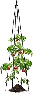 Plant Trellis Frame - Garden Trellis Metal | 63in Metal Garden Plant Trellis | Indoor Trellis Frame | Vine Support Cage | Outdoor Cages Supports for Potted Houseplant Vine Ivy Patio Lawn