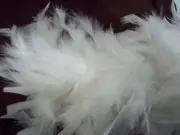 FEATHER BOA WHITE 2 Yards Costumes/Craft/Bridal/Trim 72"
