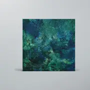 Luminescent Creatures
