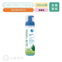 在飛比找樂天市場購物網優惠-ConvaTec 康威 蘆薈清潔泡沫 236 ml/罐 乾洗