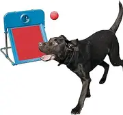 Rosewood 2493 Dog Agility Flyball with Tennis Ball