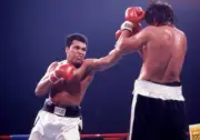 Muhammad Ali in action throws a punch vs Alfredo Evangelista durin- Old Photo 1