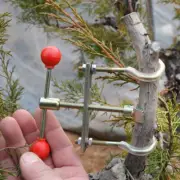 Bonsai Pruning Machine Fruit Tree Branch Puller Gardening Tool Kit