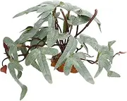 BESPORTBLE Box Reptile Plants Simulated Greenery for Lizards and Geckos Habitat Decor for Aquariums Fish Tanks and Turtles Durable Stable Base for Natural Hideaway