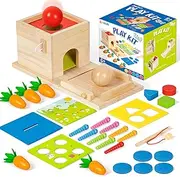 Wooden Montessori Toys for 1 Year Old, 5-in-1, Object Permanence Box, Coin Box, Carrot, Catch Worm, Shape Sorter, Learning Toy for Toddler Aged 1, 2, 3 Year Old Boys Girls