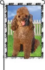 Jenna the Poodle Dog Garden Flag..4... PR 51793