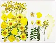 AIMALL 31PCS Dried Flowers for Resin Molds, Real Natural Dried Pressed Flowers Leaves for Art Craft Card Resin Candle DIY Art Crafts