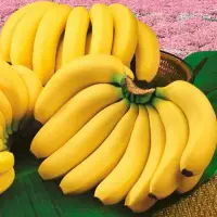 在飛比找真情食品館優惠-南投頂級香蕉25台斤/箱(免運)