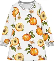 [Caihoyu] Baby Girls' Halloween Dress Toddlers Stylish Play Dresses, Multicolor07, 4 Years